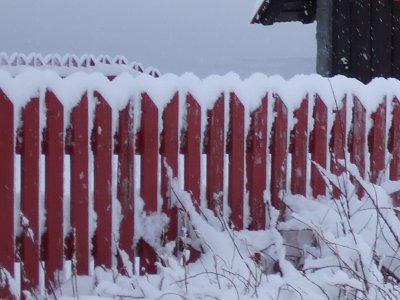 Red fence