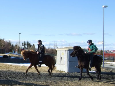 Riding a horse II