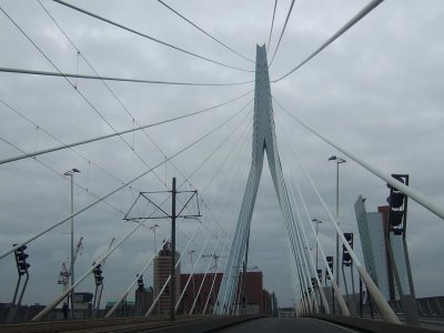 Erasmus bridge