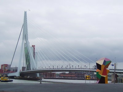 Erasmus bridge Rotterdam