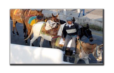 nes servant de transport de touristes de bas en haut des falaises de lle de Santorini Cyclades Grce 2009