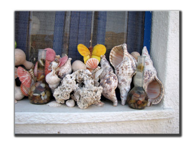 Fenetre coquillage Apolonas