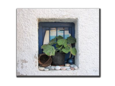Fenetre Feuilles Apolonas