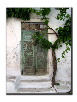 Portes Vertes vigne