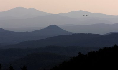 g1/21/767021/3/116941894.fOR5a7qs.jpg