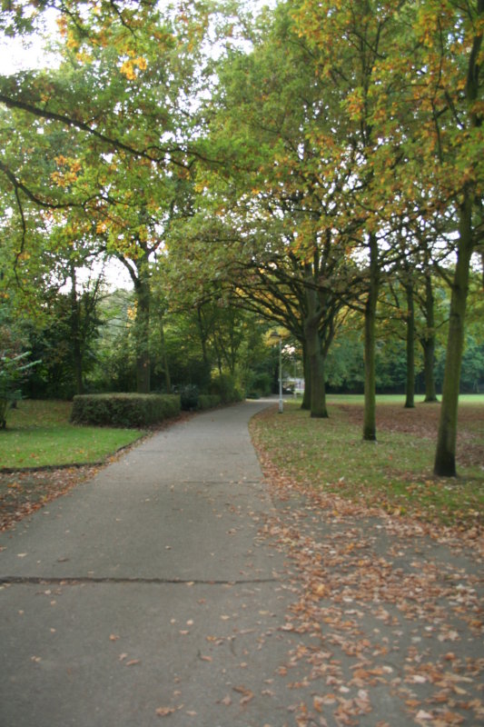 fortje_merksem_2008