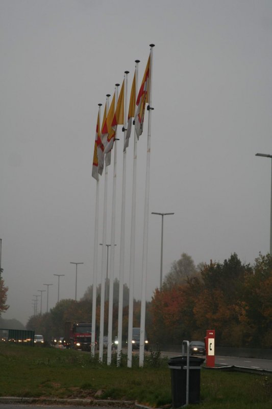 la_roche_2010