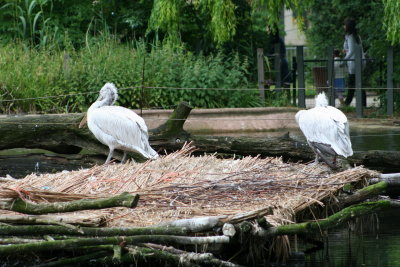 IMG_7316.jpg