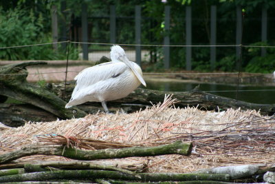 IMG_7317.jpg