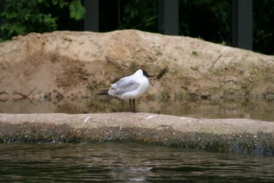 IMG_7319.jpg