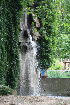 IMG_7346.jpg