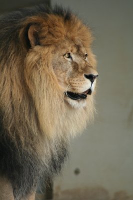 IMG_7347.jpg