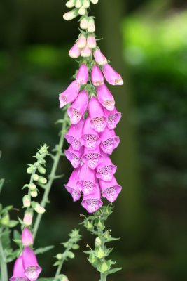 IMG_7358.jpg