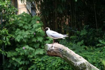 IMG_7360.jpg