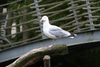 IMG_7361.jpg
