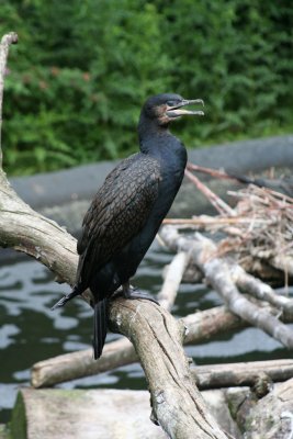 IMG_7365.jpg