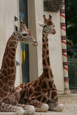 IMG_7374.jpg
