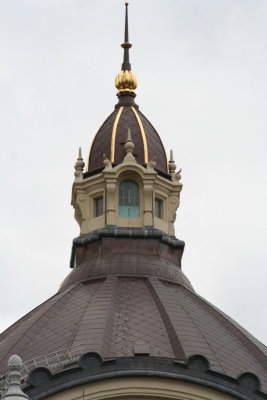 IMG_7396.jpg