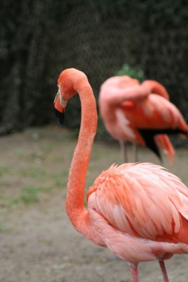 IMG_7401.jpg