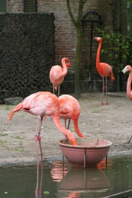 IMG_7403.jpg