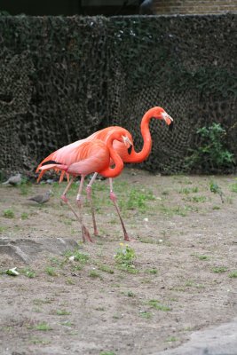 IMG_7405.jpg