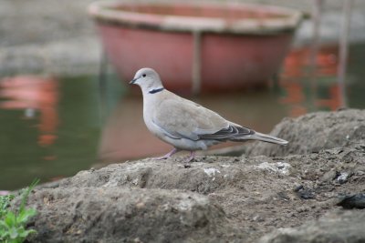 IMG_7407.jpg