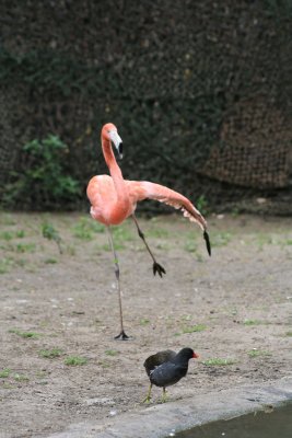 IMG_7410.jpg
