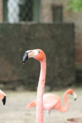 IMG_7415.jpg