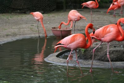 IMG_7416.jpg