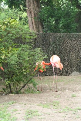 IMG_7419.jpg