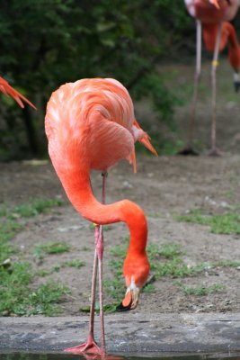 IMG_7422.jpg