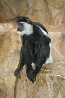 IMG_7426.jpg