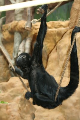 IMG_7429.jpg