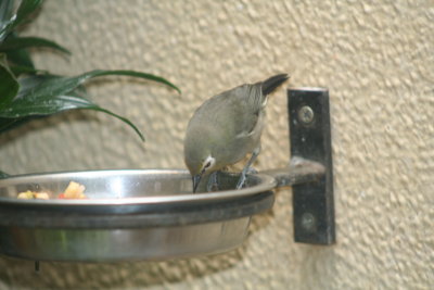 IMG_7493.jpg