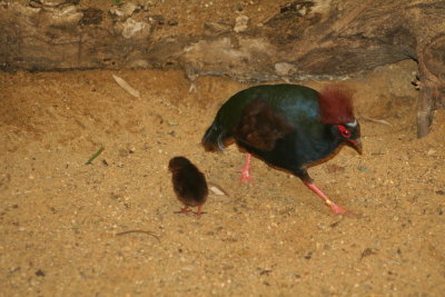 IMG_7495.jpg
