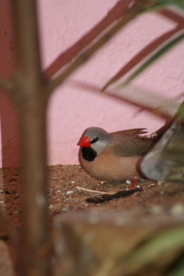 IMG_7499.jpg