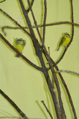 IMG_7502.jpg