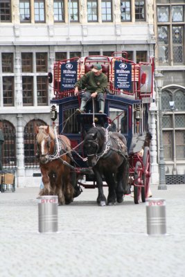 IMG_7531.jpg