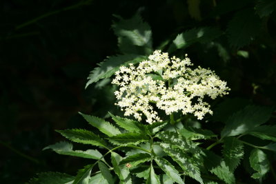 g1/21/777021/3/113465821.eKpO7xQo.jpg