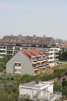 IMG_4926.jpg