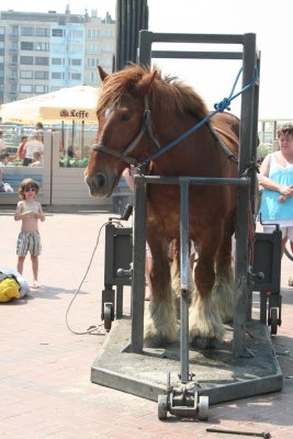 IMG_4932.jpg