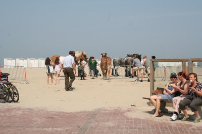 IMG_4933.jpg