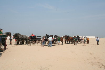 IMG_4935.jpg