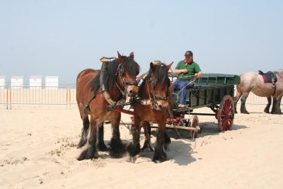 IMG_4936.jpg