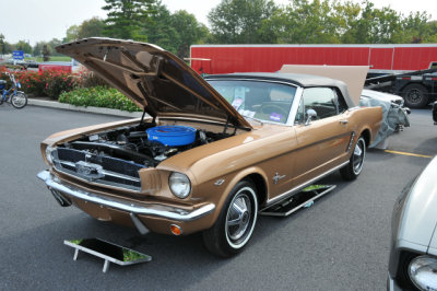 1964 Ford Mustang convertible with 260 CID V8