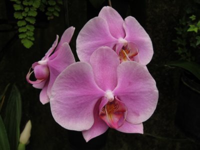 g1/21/783021/3/125550606.Dr6O2JeO.jpg