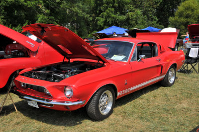 1968 Ford Mustang, with GT500 trim