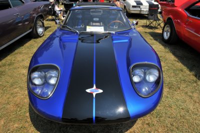1967 Marcos GT, my pick as most interesting car in the show