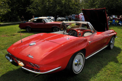 1964 Chevrolet Corvette convertible, owned by Walt Wonchoba, Lincoln University, PA (6019)