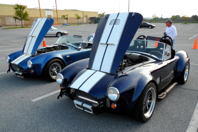 Shelby Cobra replicas (4193)